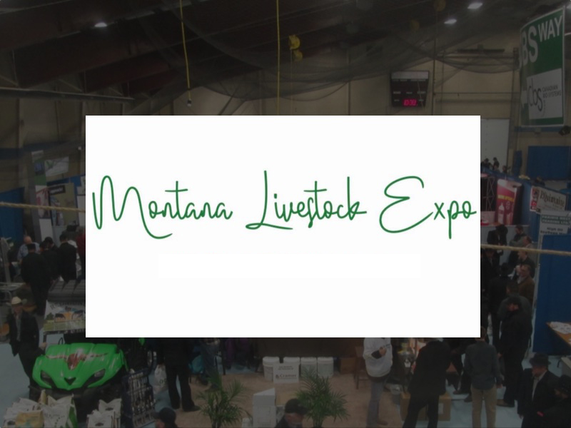 Montana Livestock Expo